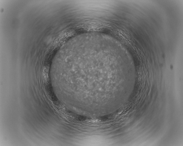 X0000058780695200510211748