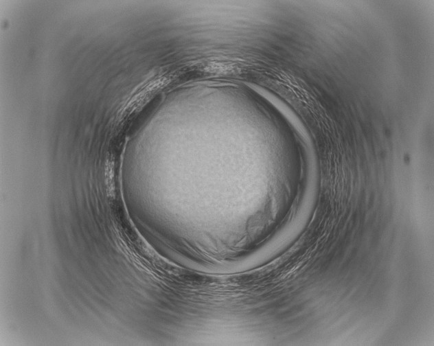 X0000058780696200510211748