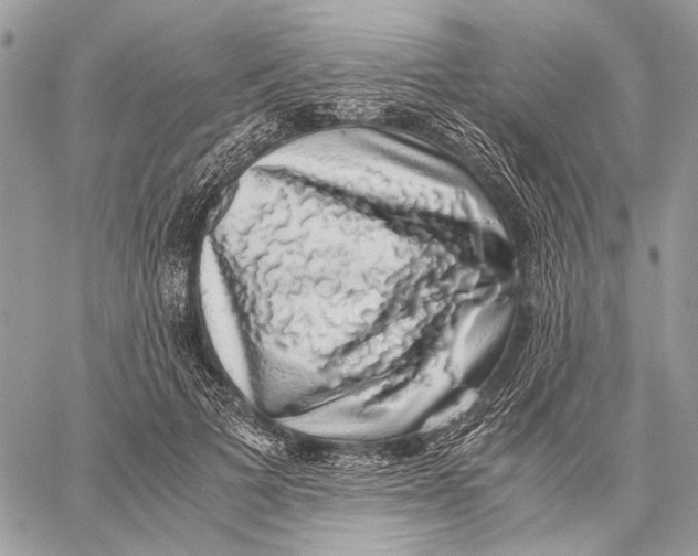 X0000058780697200510211748