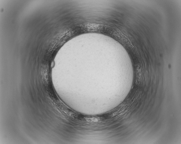 X0000058780698200510211748