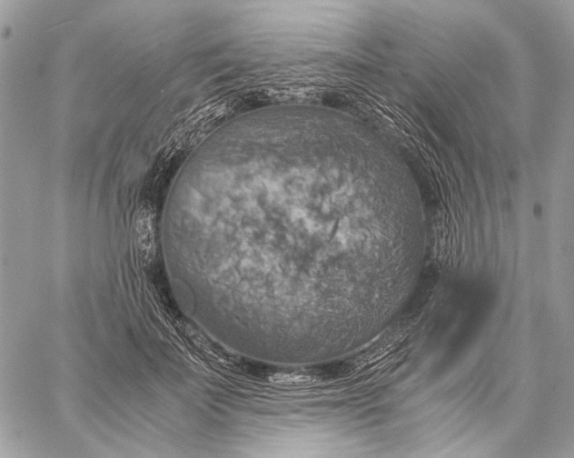 X0000058780699200510211748