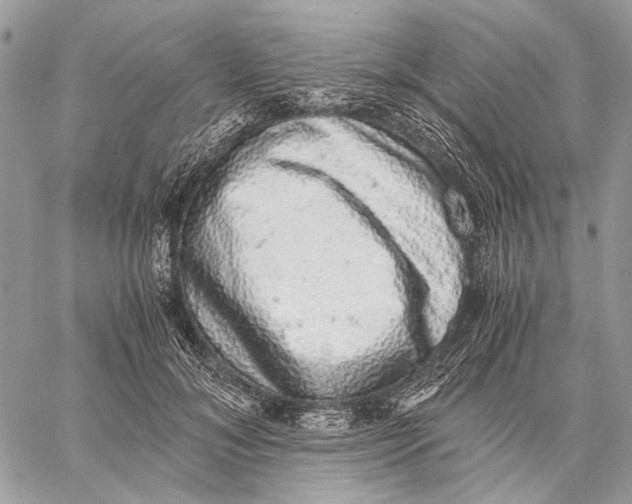 X0000058780700200510211748