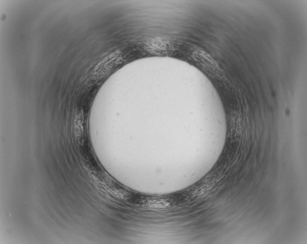 X0000058780702200510211748