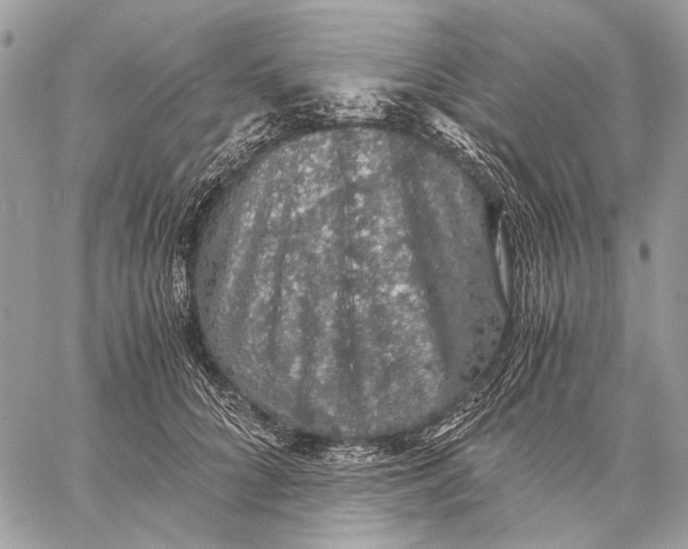 X0000058780704200510211748