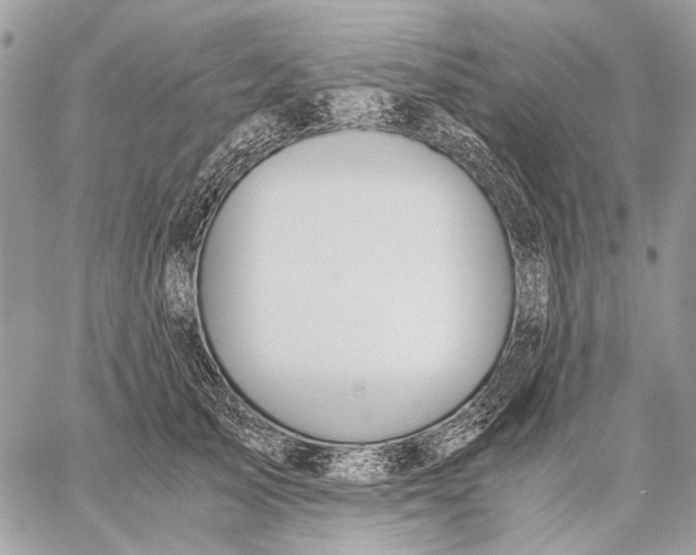 X0000058780705200510211748