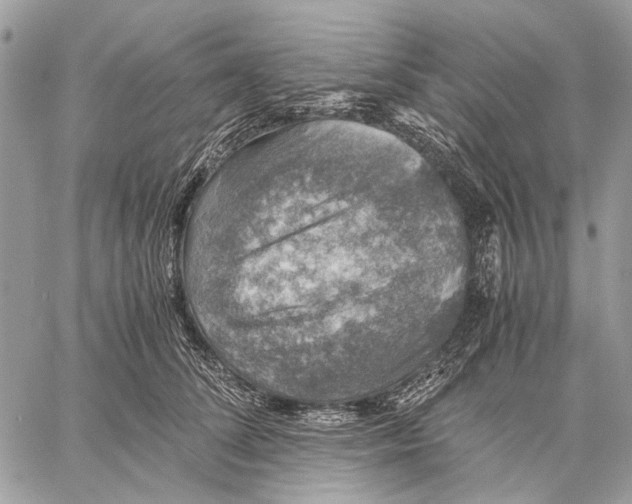 X0000058780708200510211748