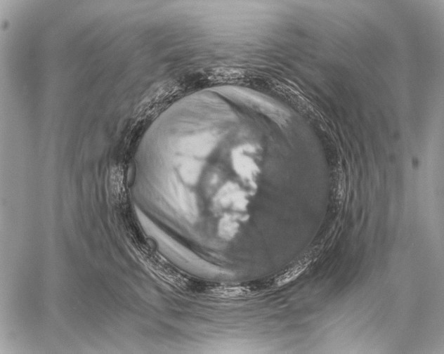 X0000058780711200510211748