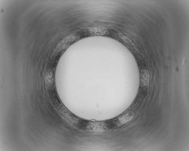 X0000058780713200510211748