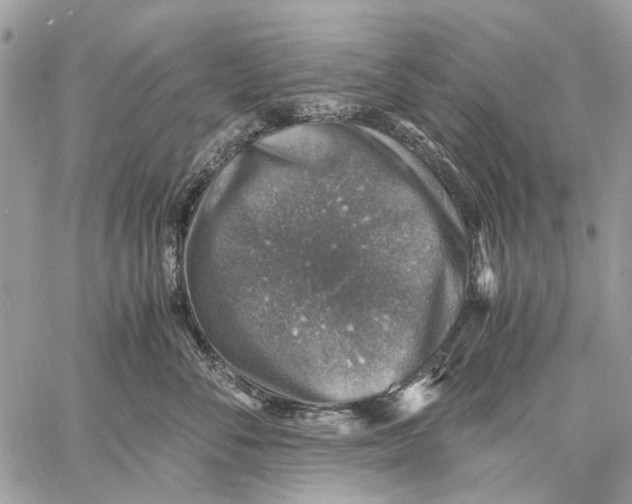 X0000058780716200510211748