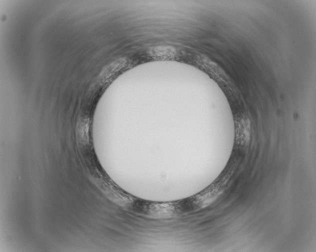 X0000058780717200510211748