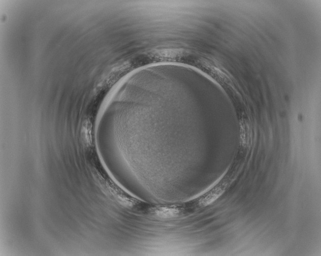 X0000058780718200510211748