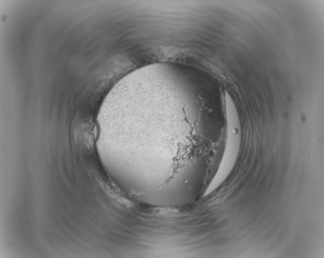 X0000058780719200510211748