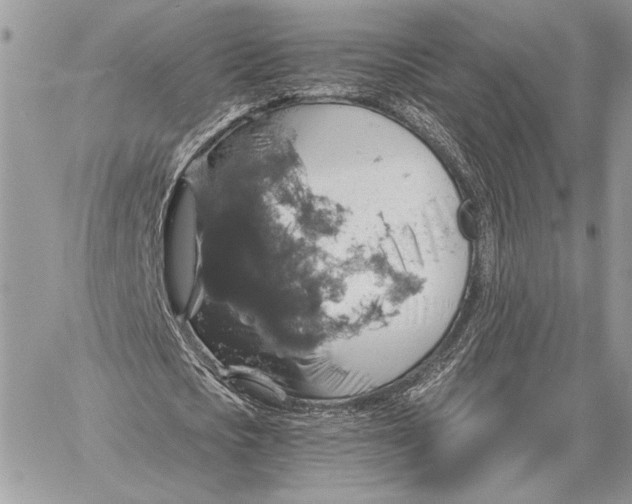 X0000058780721200510211747