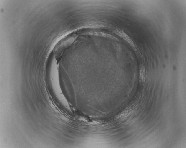 X0000058780724200510211747