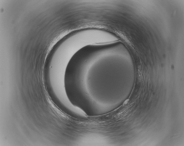 X0000058780726200510211747