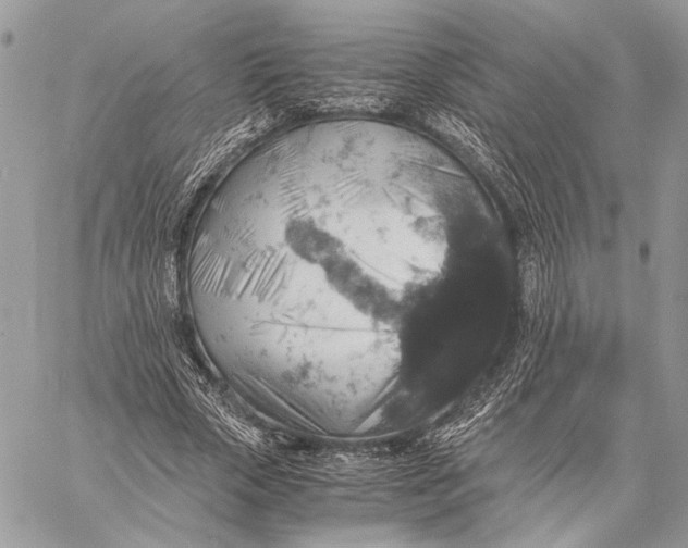 X0000058780729200510211747