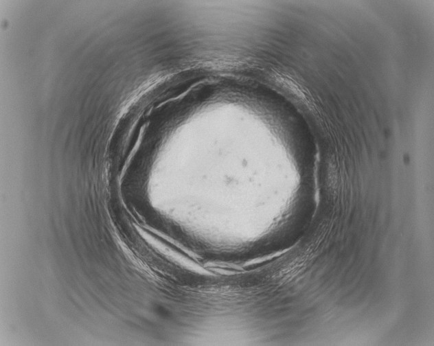 X0000058780730200510211747