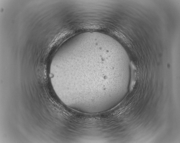 X0000058780731200510211747