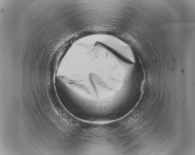 X0000058780732200510211747