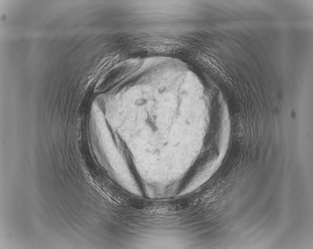 X0000058780738200510211747