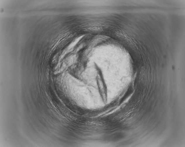 X0000058780739200510211747