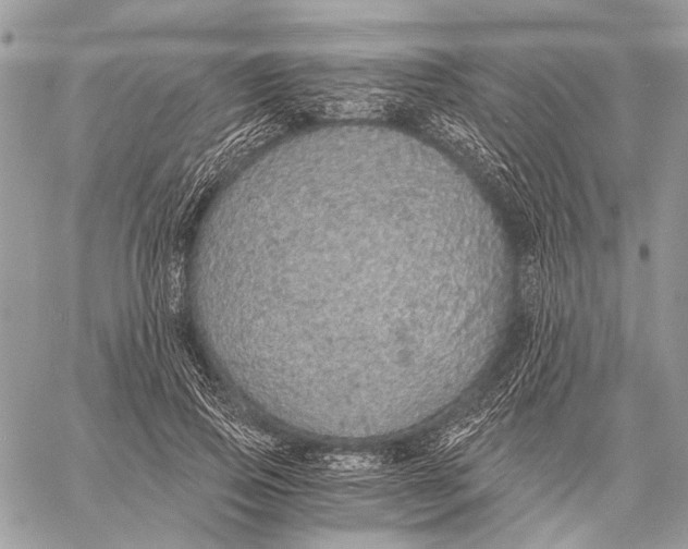 X0000058780741200510211747