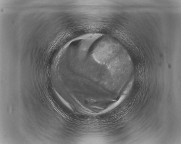 X0000058780742200510211747