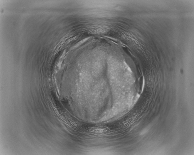 X0000058780743200510211747