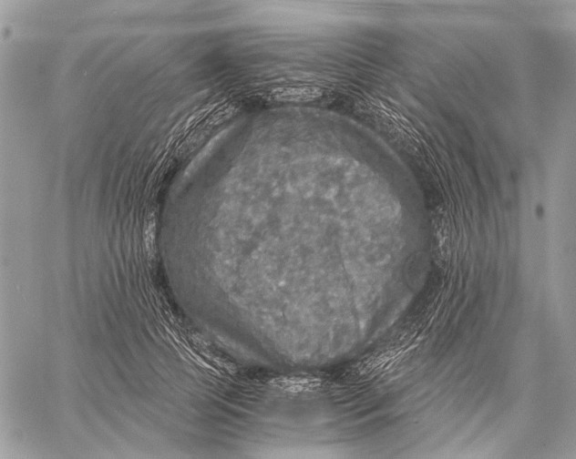 X0000058780745200510211747