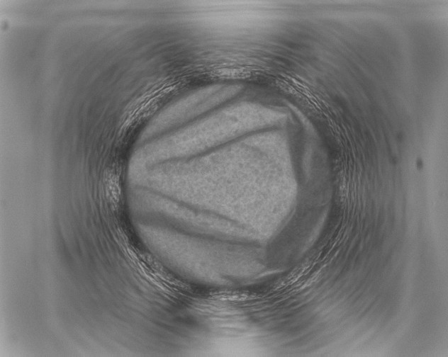 X0000058780746200510211747