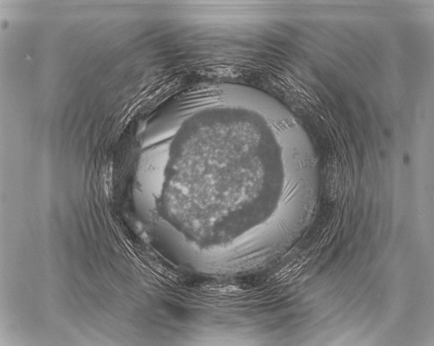 X0000058780747200510211747