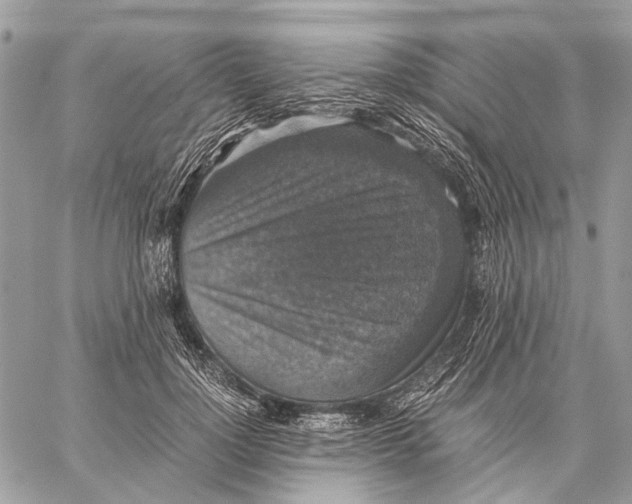 X0000058780748200510211747