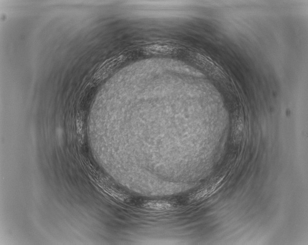 X0000058780749200510211747