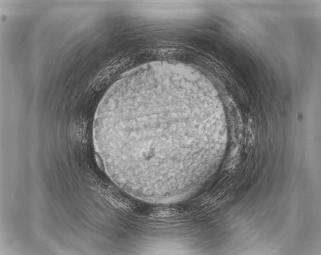 X0000058780750200510211748