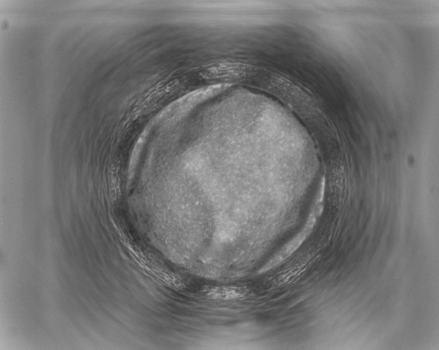 X0000058780751200510211748