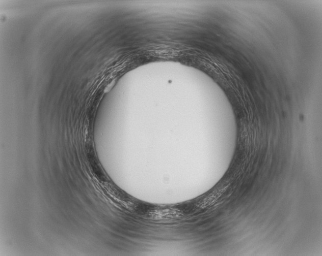 X0000058780752200510211748