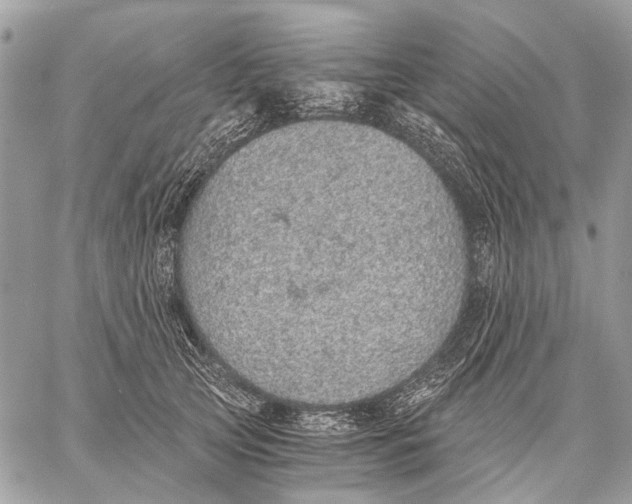 X0000058780753200510211748