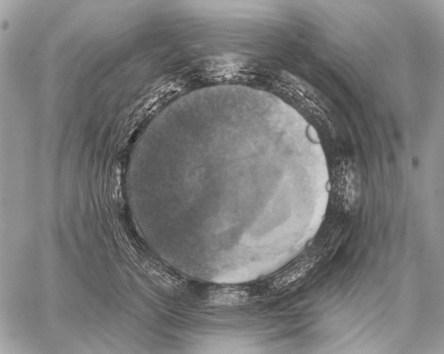 X0000058780754200510211748