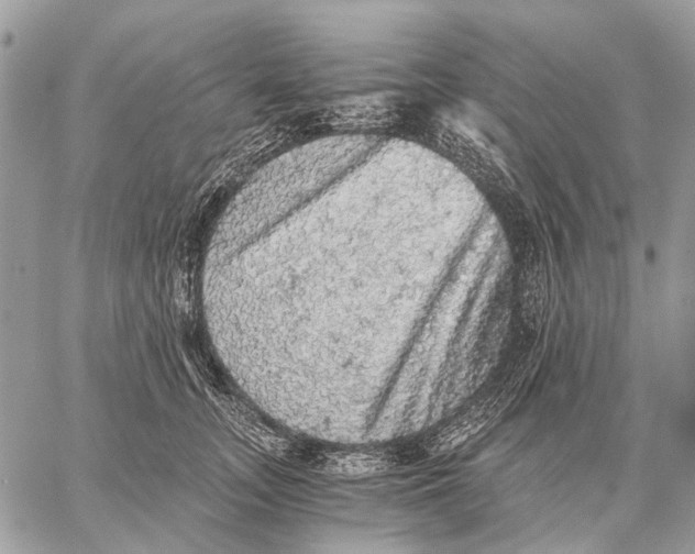 X0000058780755200510211748