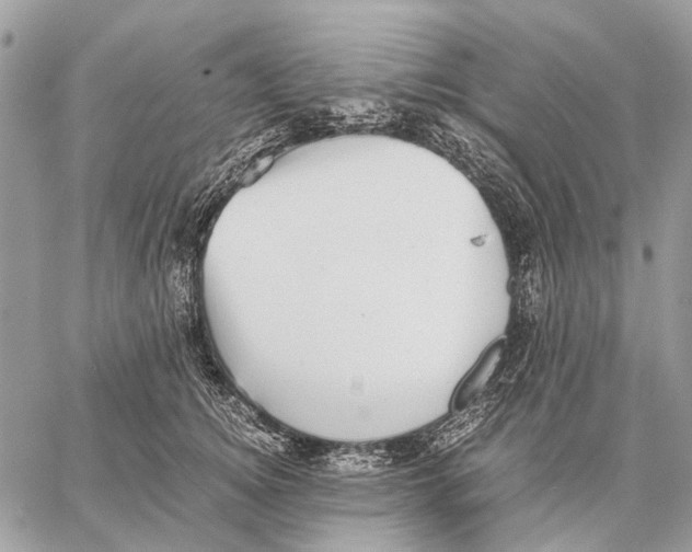 X0000058780756200510211748