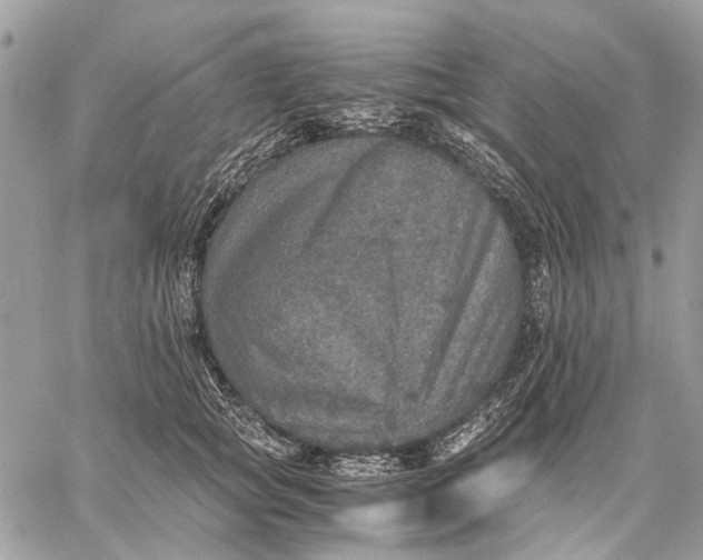 X0000058780757200510211748