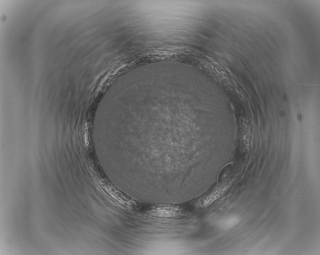 X0000058780758200510211748