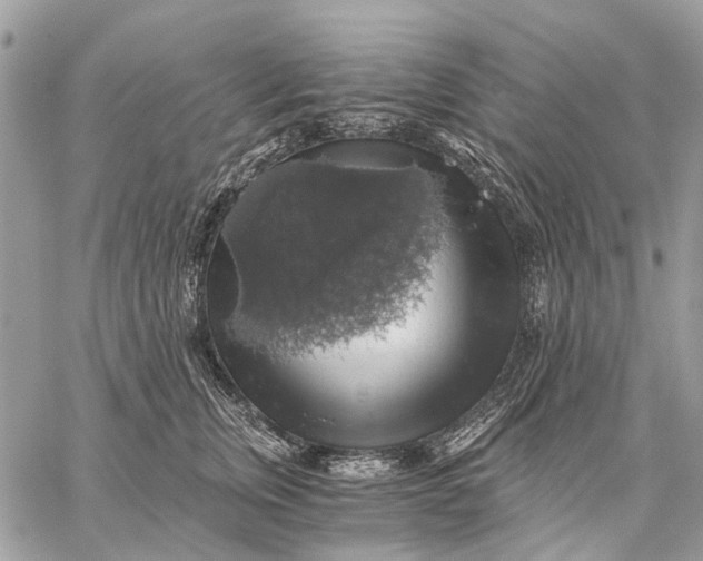 X0000058780759200510211748