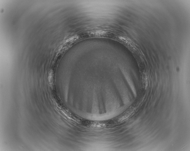 X0000058780760200510211748