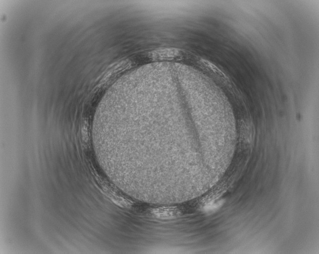 X0000058780761200510211748