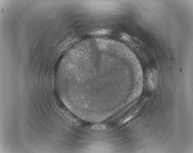 X0000058780762200510211748