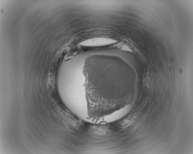 X0000058780763200510211748