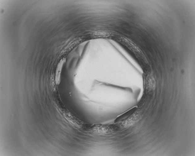 X0000058780764200510211748