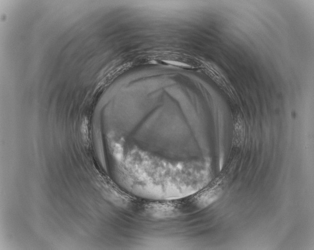 X0000058780765200510211748