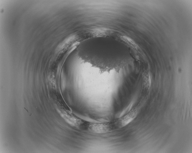 X0000058780766200510211748